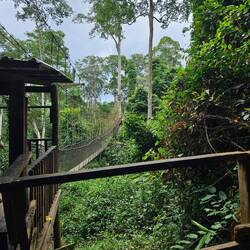 Kakum Nationalpark