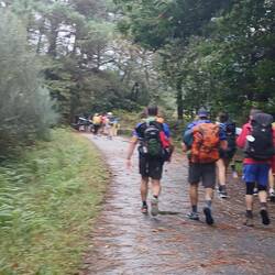 A lot of pilgrims on the trail today!