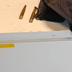 Falls nichts mehr gegen einen Eisbären hilft