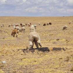 ... haben ihre Toilettenbereiche