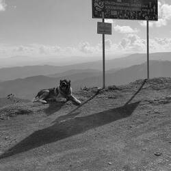 Der Freund hat uns einige km bis zum Bergpass verfolgt
