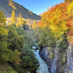 Wunderschöne Herbstfärbung
