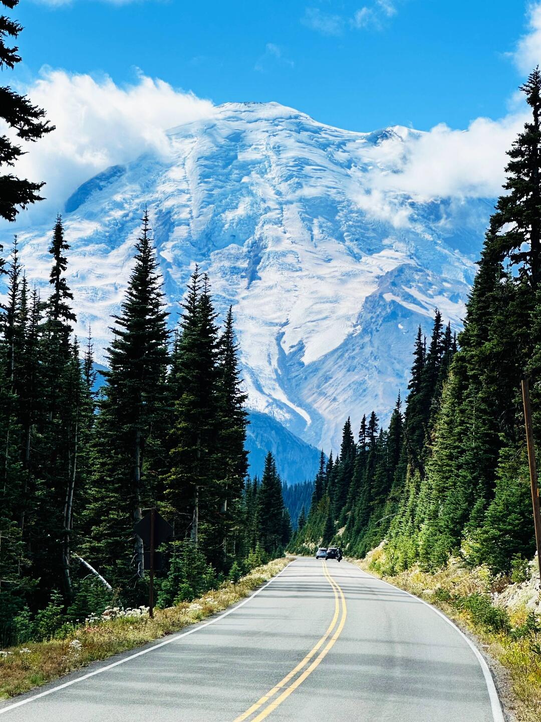 Anfahrt zum Mt. Rainier