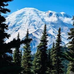 Mt. Rainier