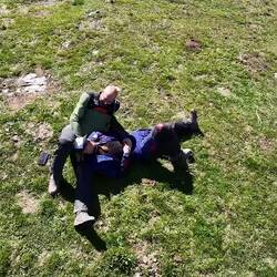 Zusammenfassung des heutigen Tags