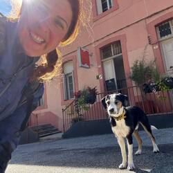 Dieser Hund hat in Zisi die perfekte Spielpartnerin gefunden