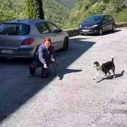 Ein Hund, der unbedingt spielen will, hat die richtige Person gefunden