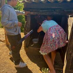 Getting the bunnies out of the hatch