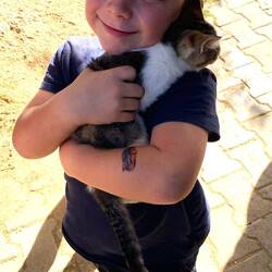 Love also for the kitties