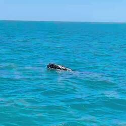 Diese Moves seien eher ungewöhnlich... wir fandens toll 🤷🏻‍♂️