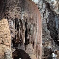 Der Elefantenhintern