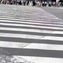 Shibuya Crossing