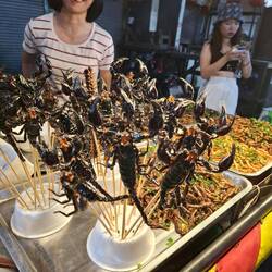 Später vielleicht....