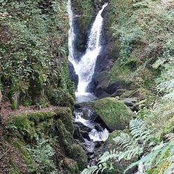 Local walk 2; Stock Ghyll Force (waterfall)
