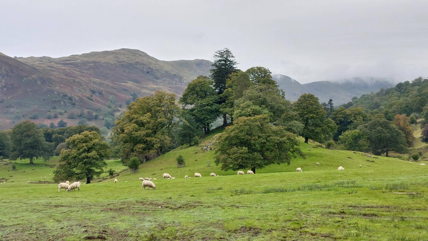 View after joining the footpath at Scandale Bridge