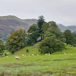 View after joining the footpath at Scandale Bridge