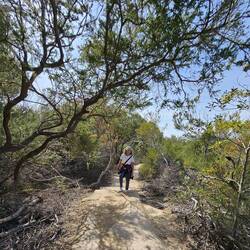 Exploring the paths within Sydney Harbor National Park