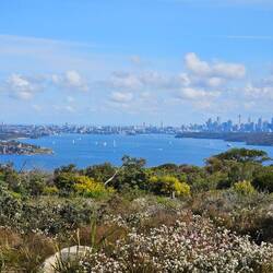 More panoramic perspective