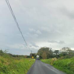 The road to the beach was interesting.