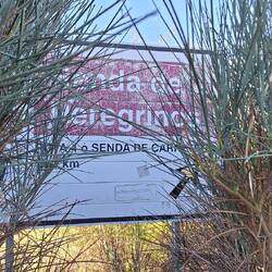 Need to be eagle eyed to spot this sign.
