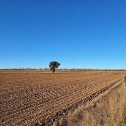 The terrain was flat and almost featureless.