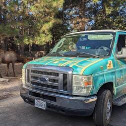 Sogar beim Wasser ablassen sind sie "lästig"