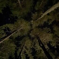 Unser Nachthimmel ✨