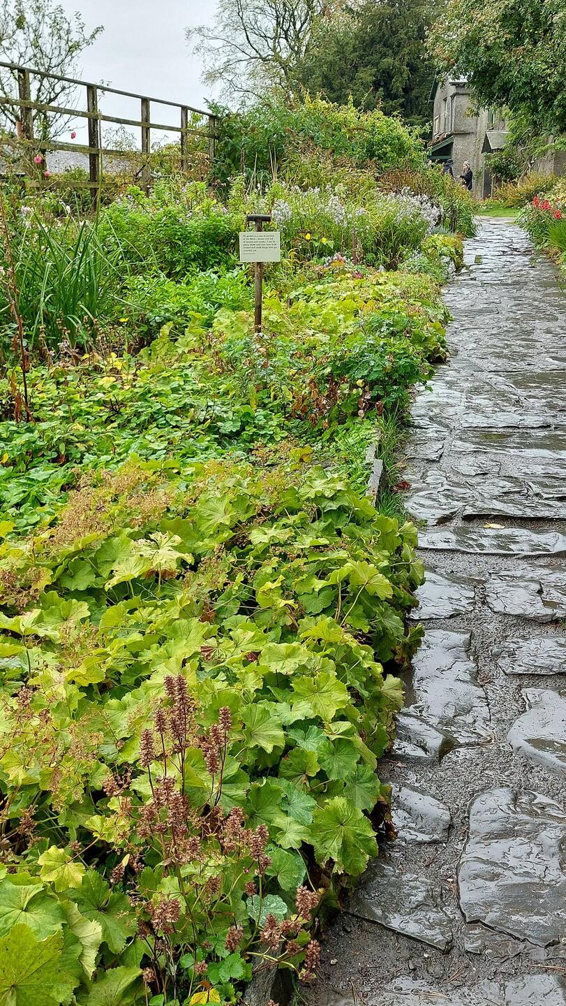 Hill Top; pathway to the house