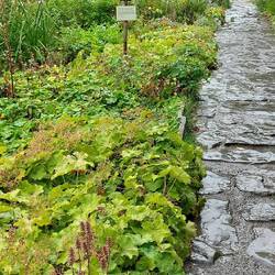 Hill Top; pathway to the house