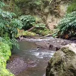 Der Bachlauf unterhalb des Wasserfalls