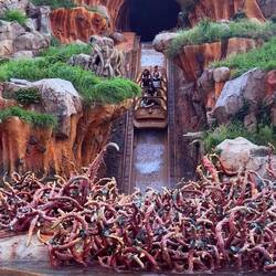 Krissi and Clare in the back row