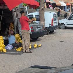 Und zu kaufen gibt es alles