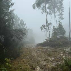 The top of the mountain was very foggy. It was difficult to see the road.