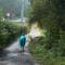 The beginning of the day, when the rain was just misty.