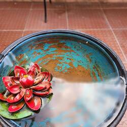 Little touches on the deck