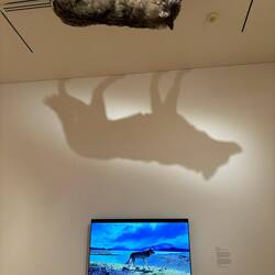 Baltimore Museum of Art