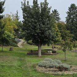 Pleasant park in the middle of the village