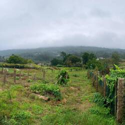 Pano of the landscape