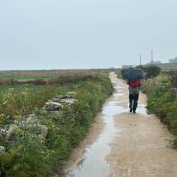 Pace quickened on the last stretch home