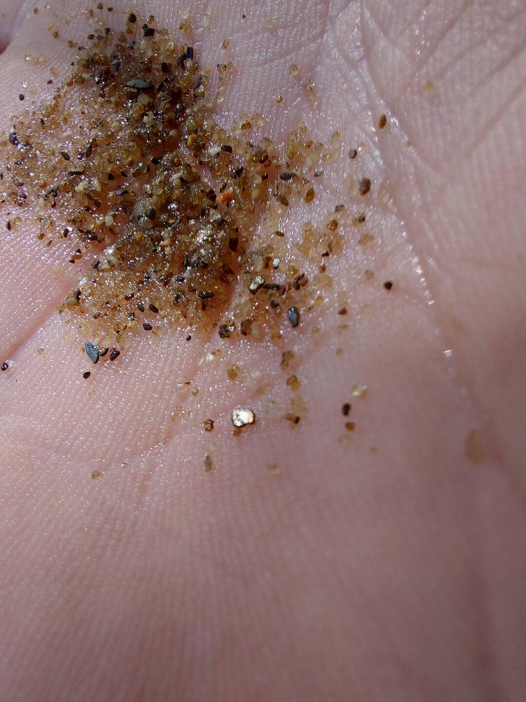 Brian a trouvé une pépite d'or