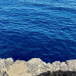 Who can find the Turtle?