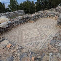 Byzantine Church mosaic from the 6th Century. Caretaker uncovered it for us.