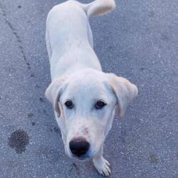 Groß, hübsch und unglaublich lieb! 🥺🥺🥹