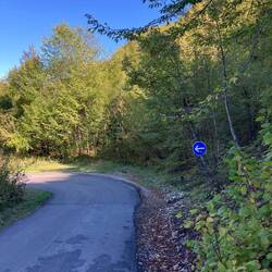 Kurve oder was???? 🤣🤣🤣