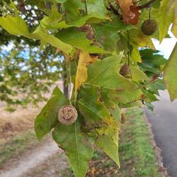 I don't know what it is but it's winking at me!