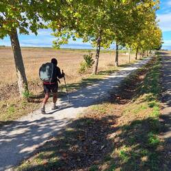 Almost completely deserted road, lined with shade that went on for 3 miles. Saw more bikes than cars.