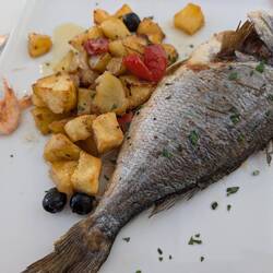 Secundo: Dorade mit italienisch gewürzten Bratkartoffeln. Klasse!