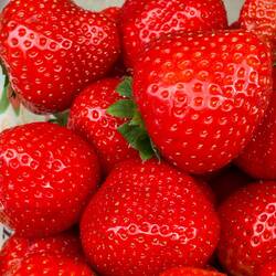 The fruit is just so good