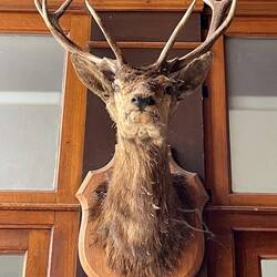 Grand Cerf after who the passageway is named