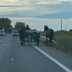 Rencontré sur la route majeur